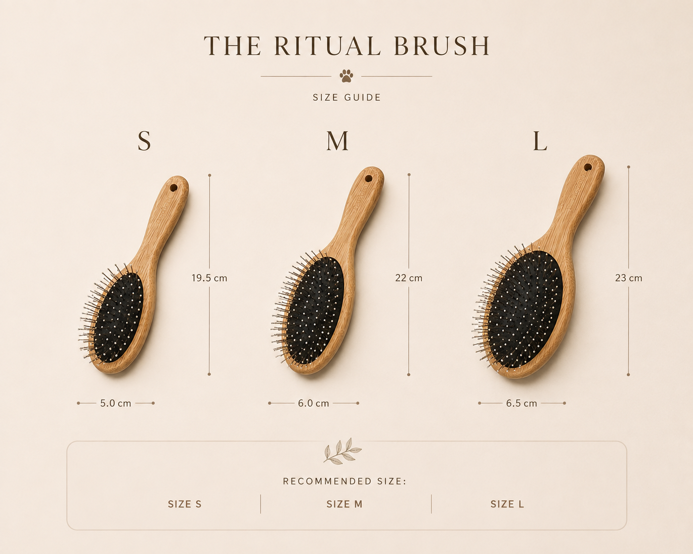 The Daily Ritual Brush
