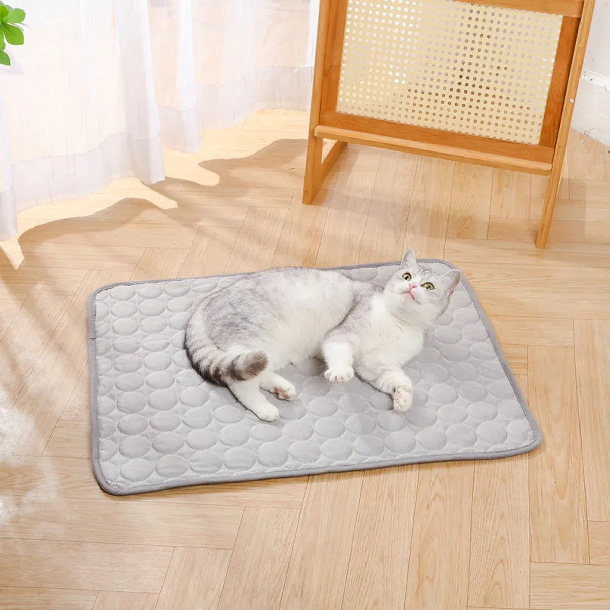 Pet  Sleeping Mat Summer Spring Mat for Dog and Cat Indoor Use - S
