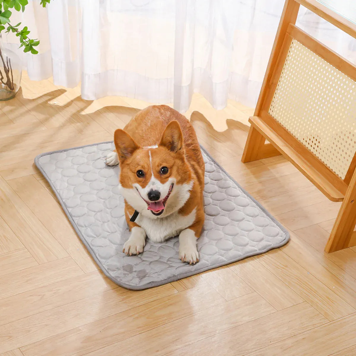 Pet  Sleeping Mat Summer Spring Mat for Dog and Cat Indoor Use - S